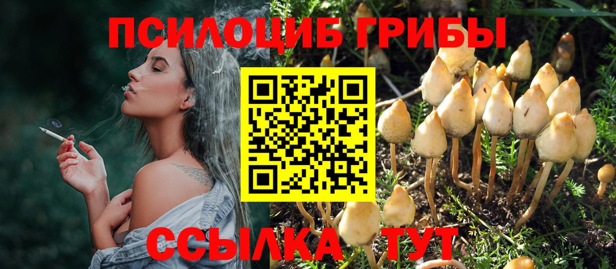 Киров  Галлюциногенные грибы мицелий  Вход с VPN  Галлюциногенные грибы ЛСД 